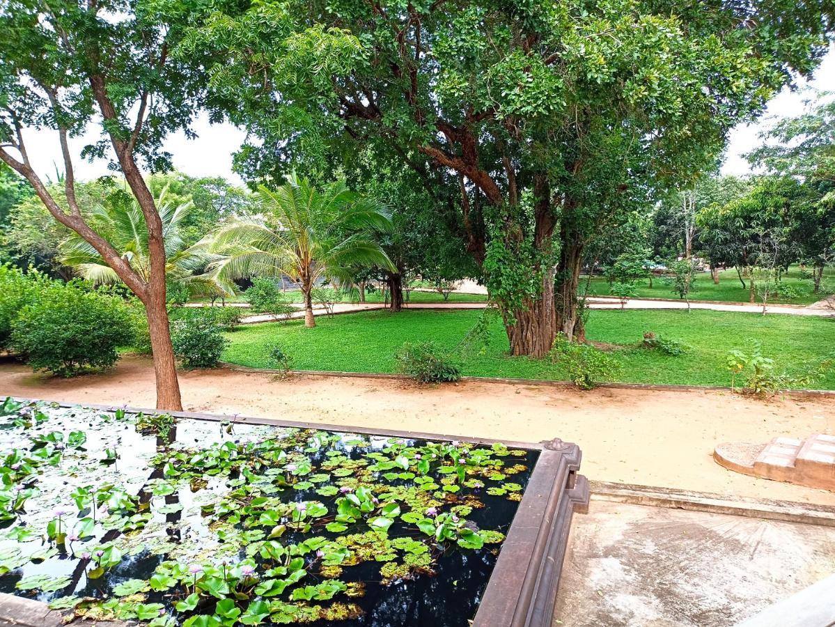 Kaveri Resort Sigiriya Ngoại thất bức ảnh