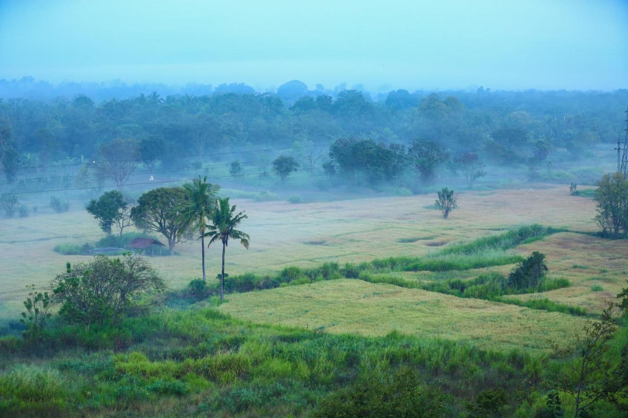 Kaveri Resort Sigiriya Ngoại thất bức ảnh